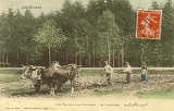 Les Vosges. - Les Travaux à la Campagne. - Le Labourage